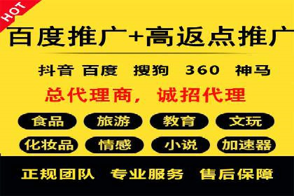 搜索引擎营销（SEM）公司某某的客户成功故事